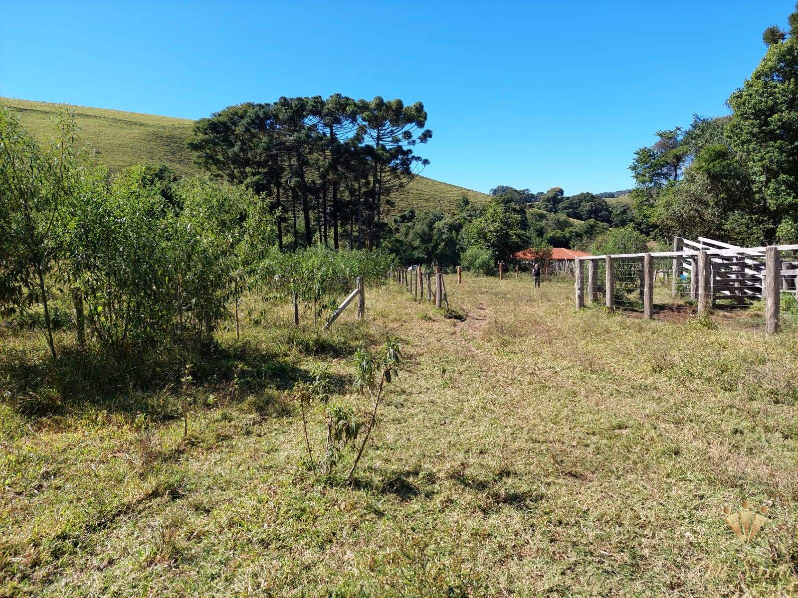 Terreno para Venda, Centro, Toledo/MG