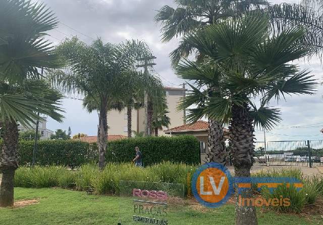 Apartamento para Locação, Jardim Tangará, Marília/SP